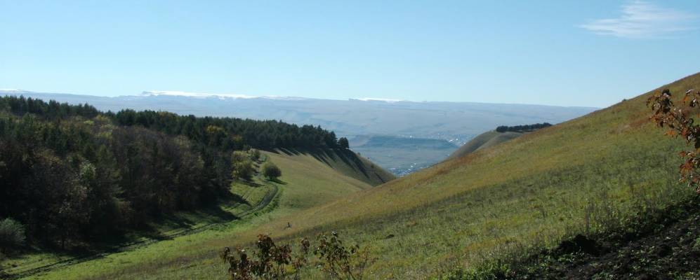 
            Фотография Боргустанских Гор