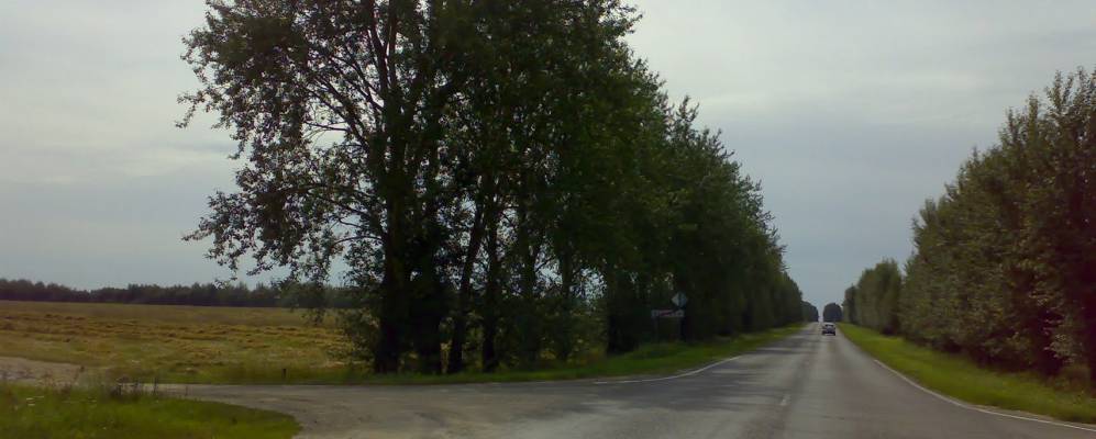 Фотография Заяченья