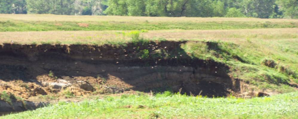 
            Фотография Сергеевки