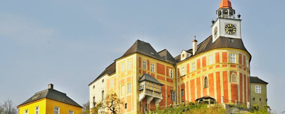 
            Фотография Яворника