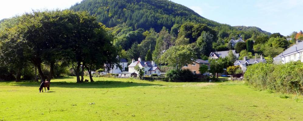 
            Фотография Трефри