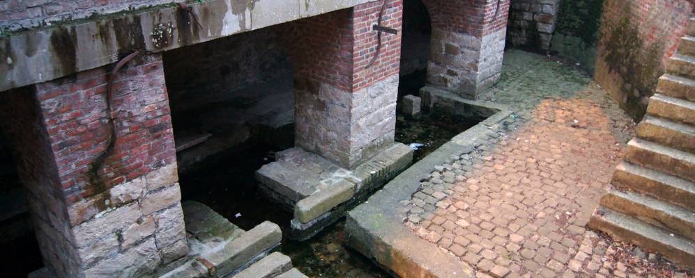 
            Фотография Солема