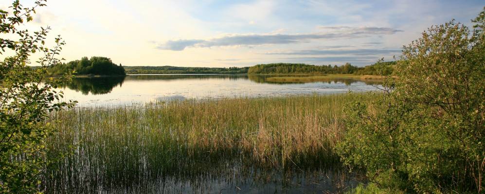 
            Фотография Пеньково