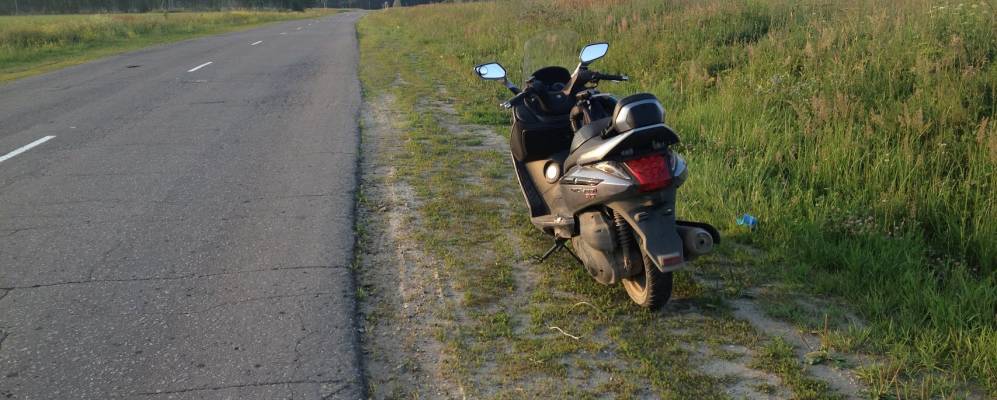 
            Фотография Можарки