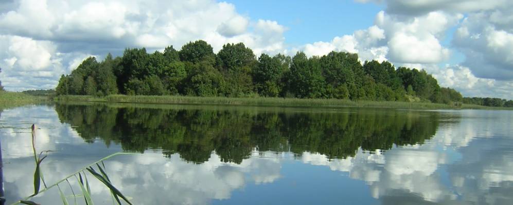 Фотография Соржицы