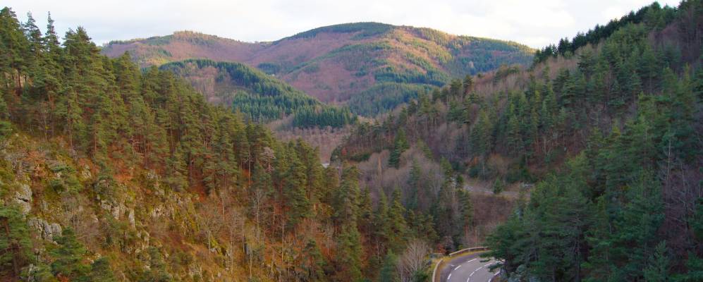 
            Фотография Сен-Жюльен-Бутьер