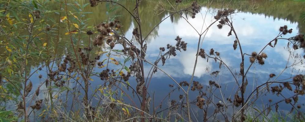 
            Фотография Любимово