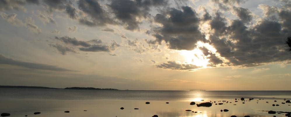 
            Фотография Лоби