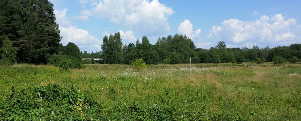 Фотография Городища