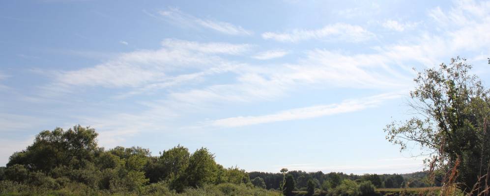 
            Фотография деревни Хомичи