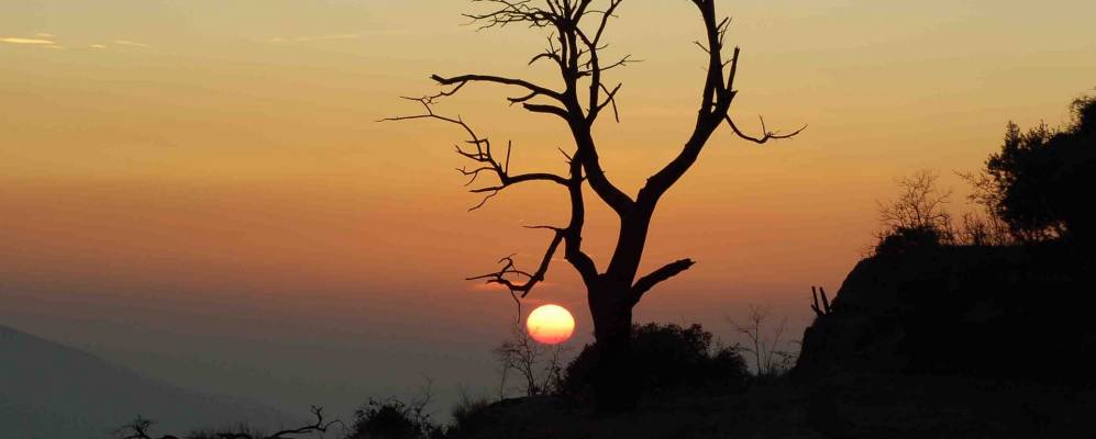 Фотография Pórtugos