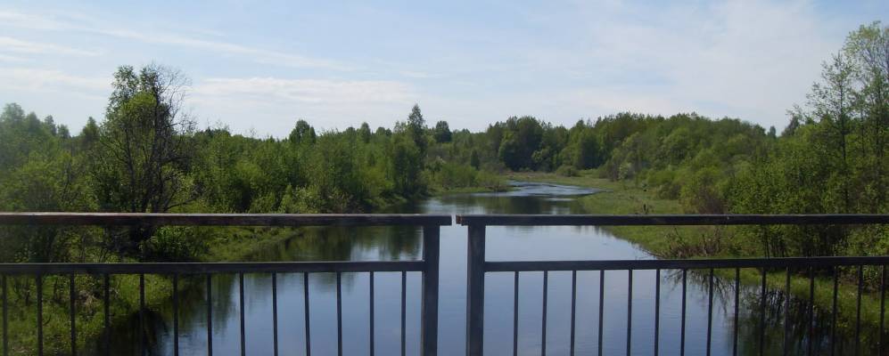 
            Фотография Илево