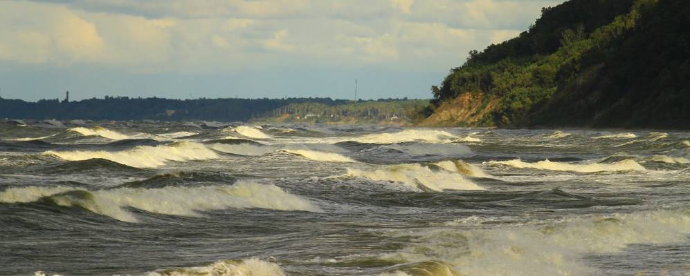 
            Фотография Лесного