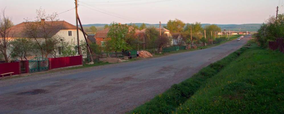 
            Фотография Брюховичей