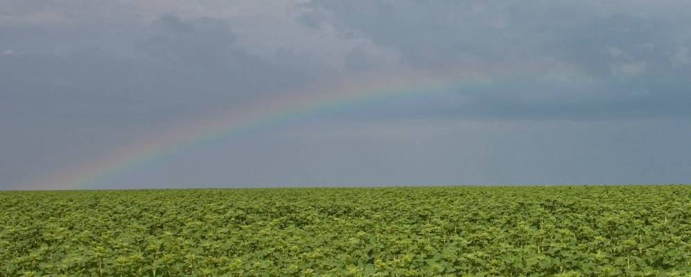 
            Фотография Огородного