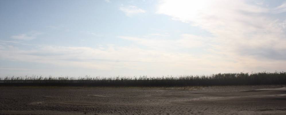 
            Фотография Аппанов