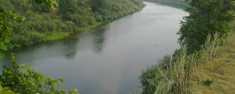 
            Фотография Лисьей