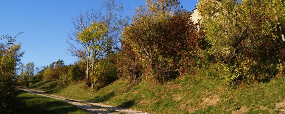 
            Фотография Монтаньё