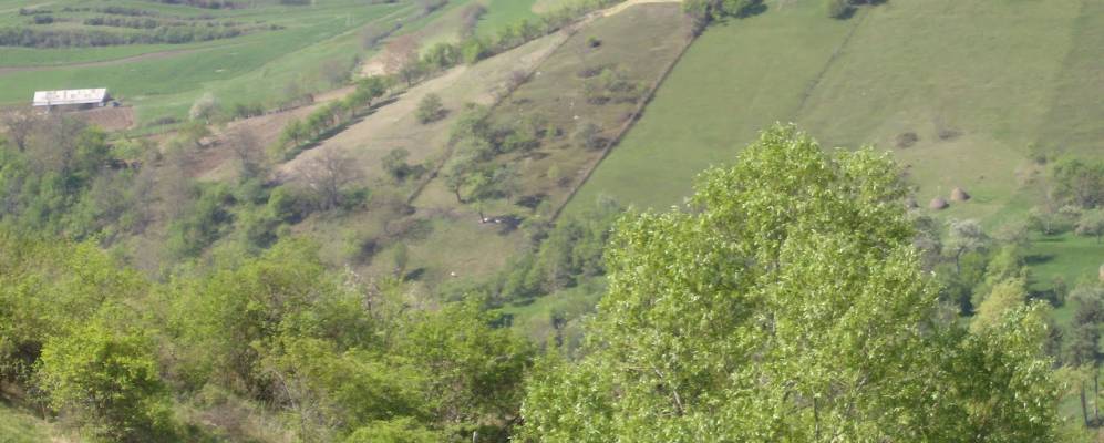 
            Фотография Целны