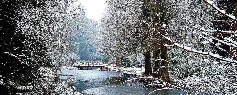 
            Фотография Симерии