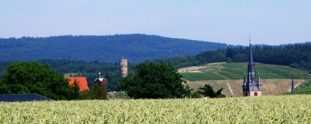 
            Фотография Кидриха