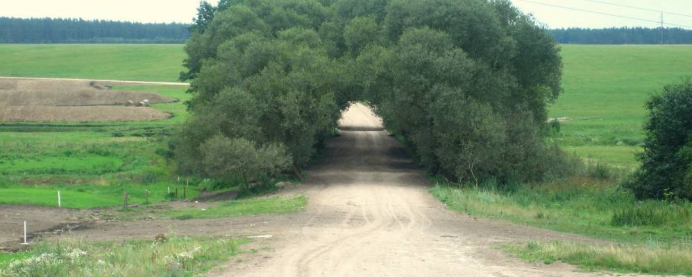 
            Фотография Кремца