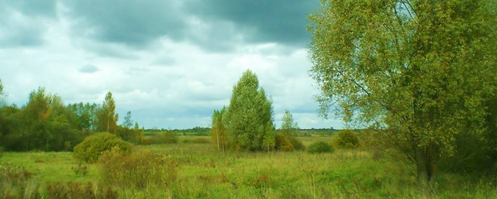 
            Фотография Заречья