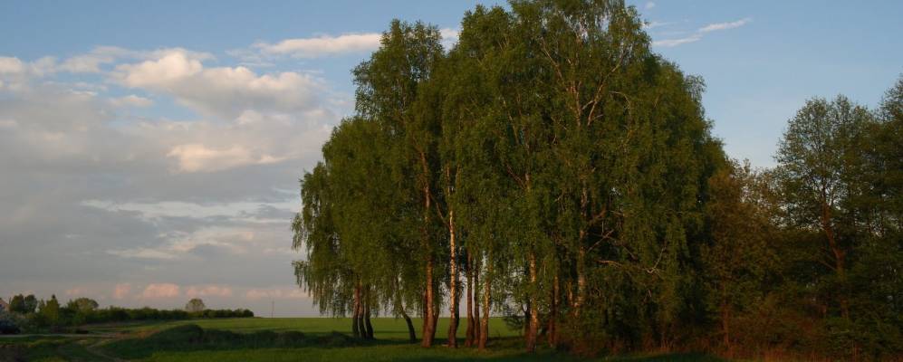 Фотография Яново