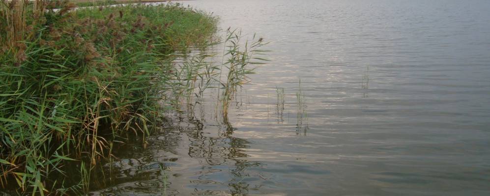 
            Фотография Рагулей