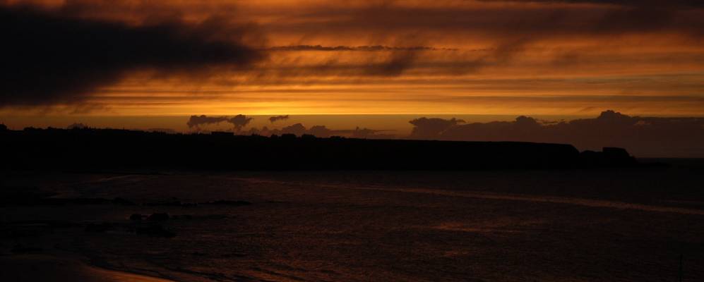 
            Фотография Каллена