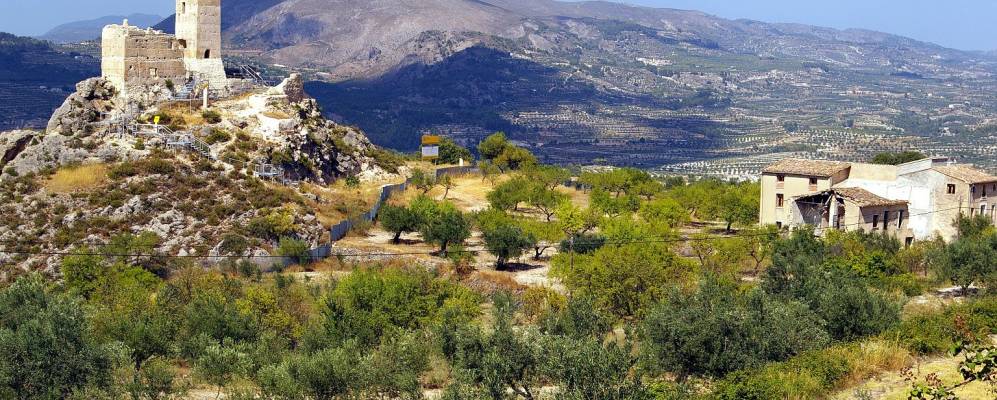 Фотография Алькоя