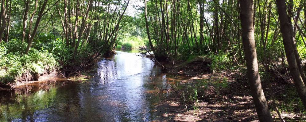 
            Фотография Шмальфельда