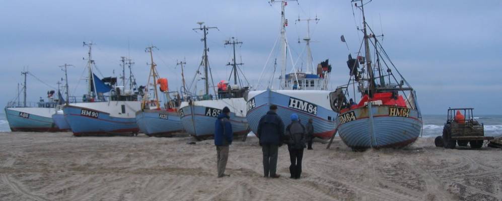 
            Фотография Торуп Странн