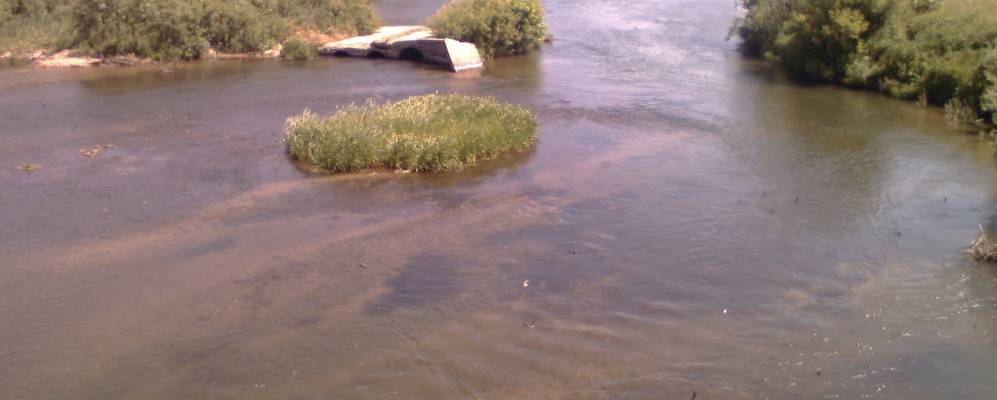 
            Фотография Бородинки