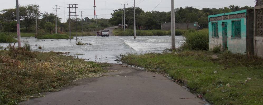 
            Фотография Типитапы