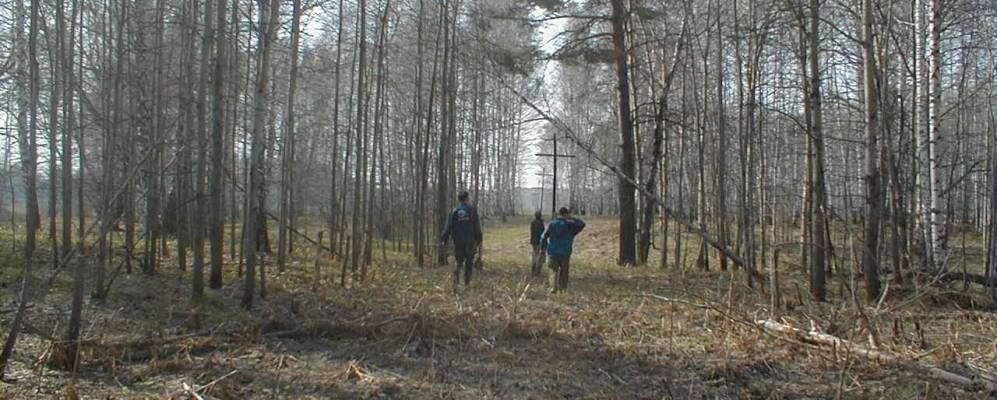 
            Фотография Кожевниково