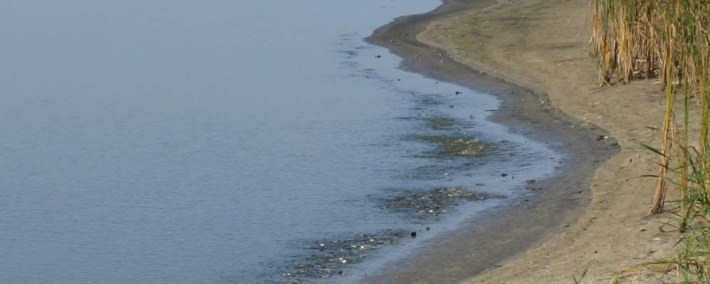 
            Фотография Ракитной Слободы