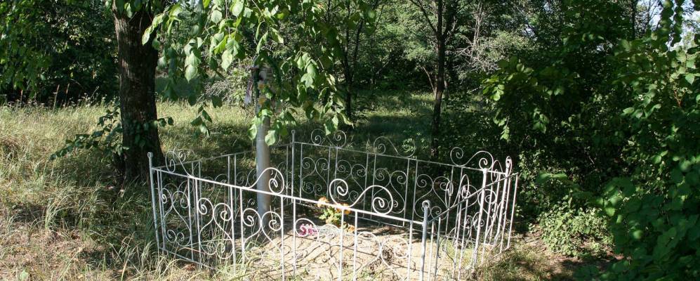 
            Фотография Млынка