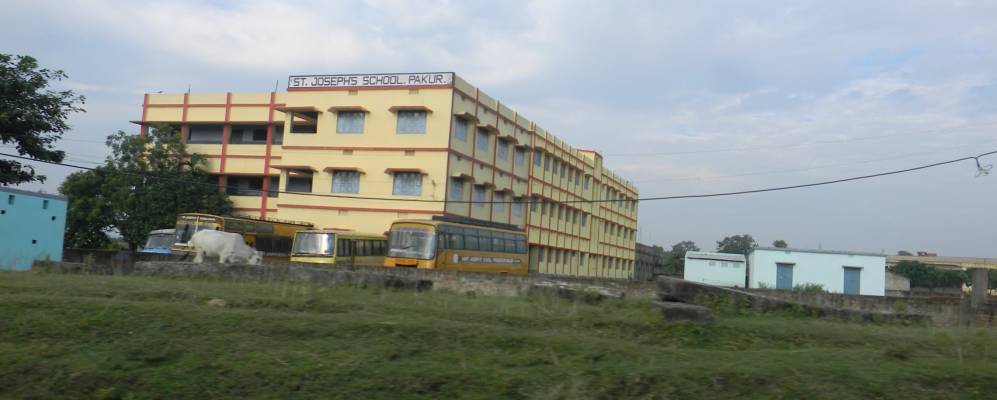 
            Фотография Пакаура