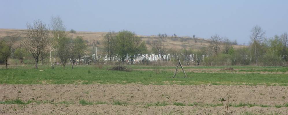 
            Фотография Владимирцы