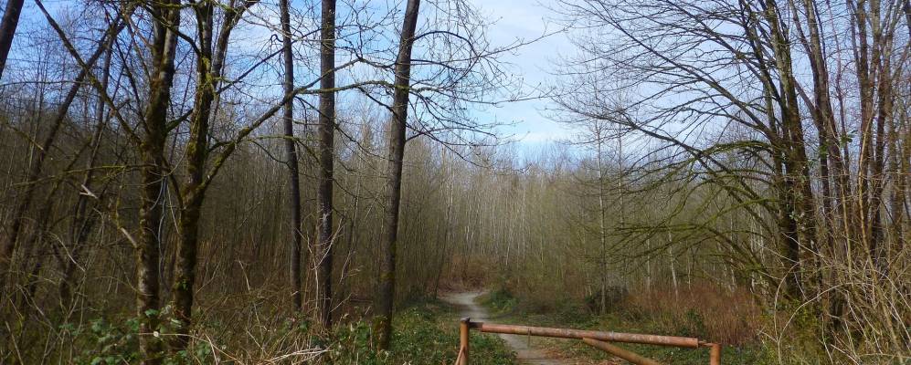 
            Фотография Султана