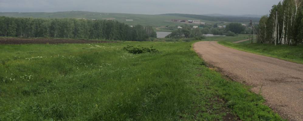 
            Фотография Антоновки