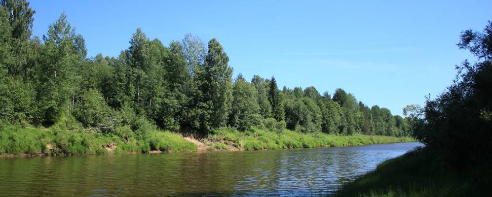 
            Фотография Языково