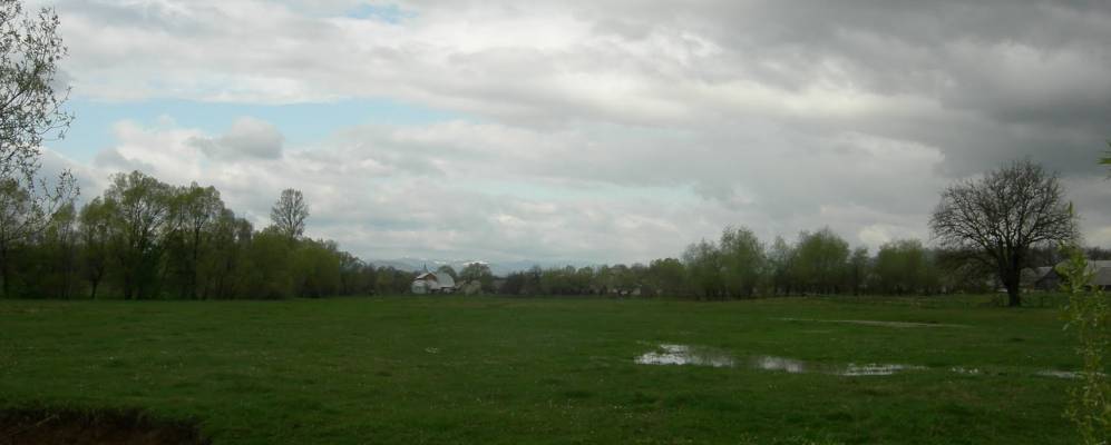 
            Фотография Парища