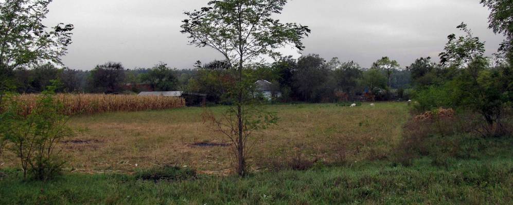 
            Фотография Гоголевского