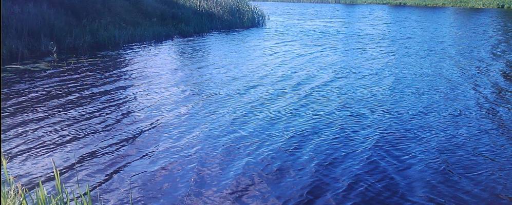 Фотография деревни Новоселки