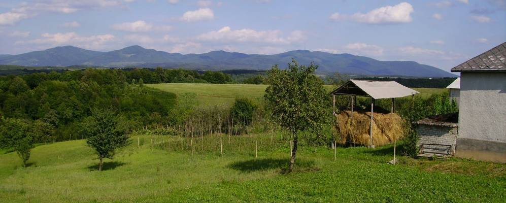 
            Фотография Вертепа