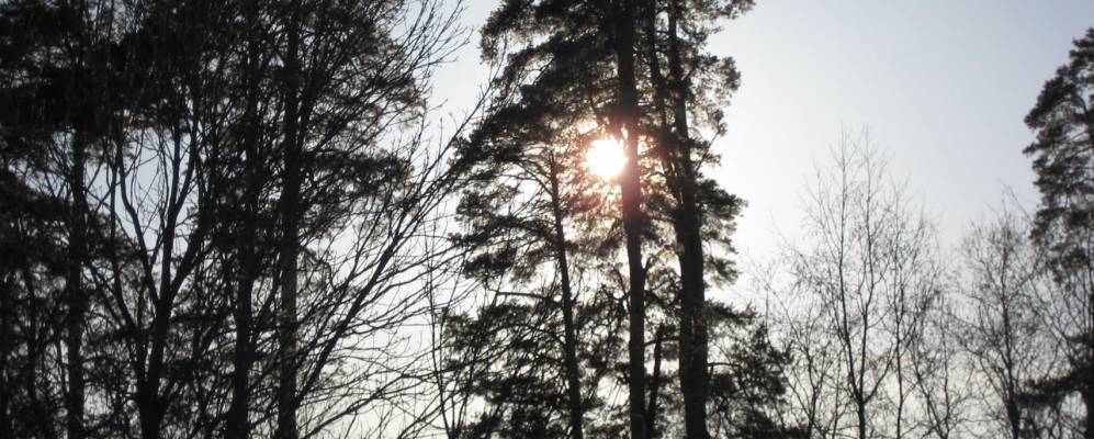 Фотография Рыкулино