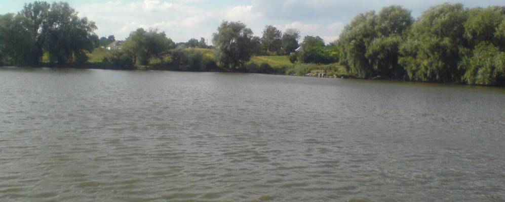 Фотография Кривца