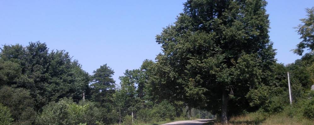 
            Фотография Глиньково